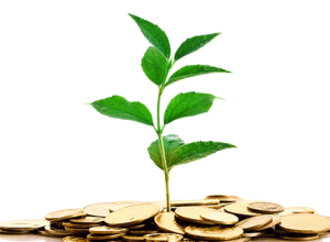 About Us About Us | SEO & Online Marketing Cosultants